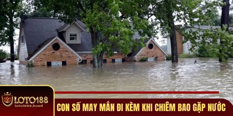 Nằm Mơ Thấy Nước Đánh Số Gì - Giải Mã Ý Nghĩa Cụ Thể 4 Con số may mắn đi kèm khi chiêm bao gặp nước
