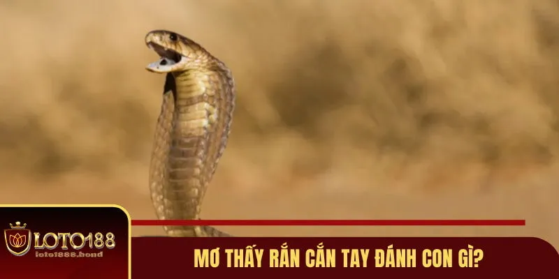 Mơ Thấy Rắn Đánh Con Gì? Gợi Ý Lô Đề Dễ Nổ Từ Chuyên Gia 3 Điềm báo khi bị cắn vào tay và ý nghĩa sau đó