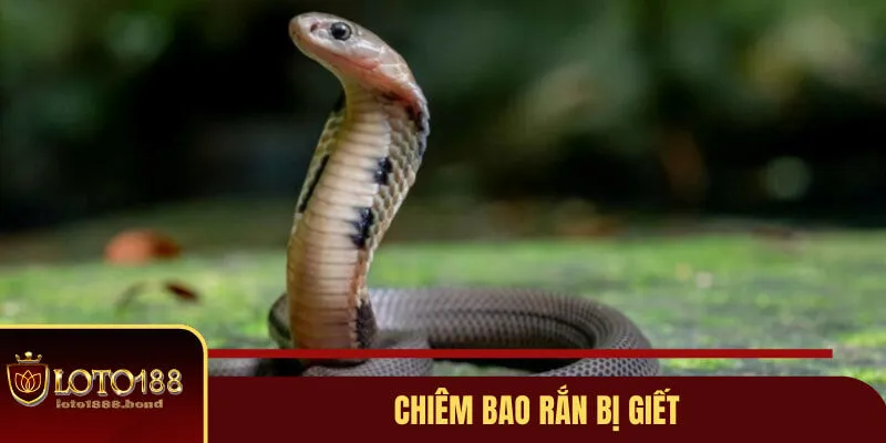 Mơ Thấy Rắn Đánh Con Gì? Gợi Ý Lô Đề Dễ Nổ Từ Chuyên Gia 5 Chiêm bao rắn bị giết và những thông tin thú vị