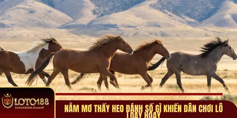 Nằm Mơ Thấy Ngựa Đánh Số Gì? Giải Mã Ngay Để Bắt Lấy Vận May 3 Giấc mơ cưỡi ngựa mang ý nghĩa về trách nhiệm mới
