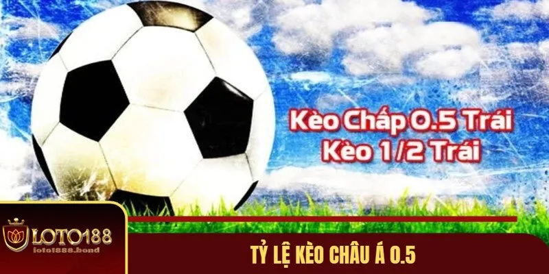 Tỷ Lệ Kèo Châu Á: Định Nghĩa Và Cách Đọc Từ Chuyên Gia Loto188 3 Cách đọc tỷ lệ kèo châu Á đồng nửa